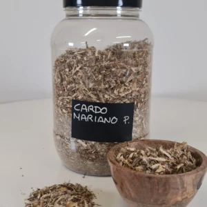 Cardo mariano P. bote y cuenco