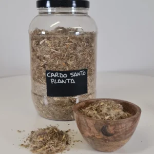 Cardo santo planta cuenco y bote
