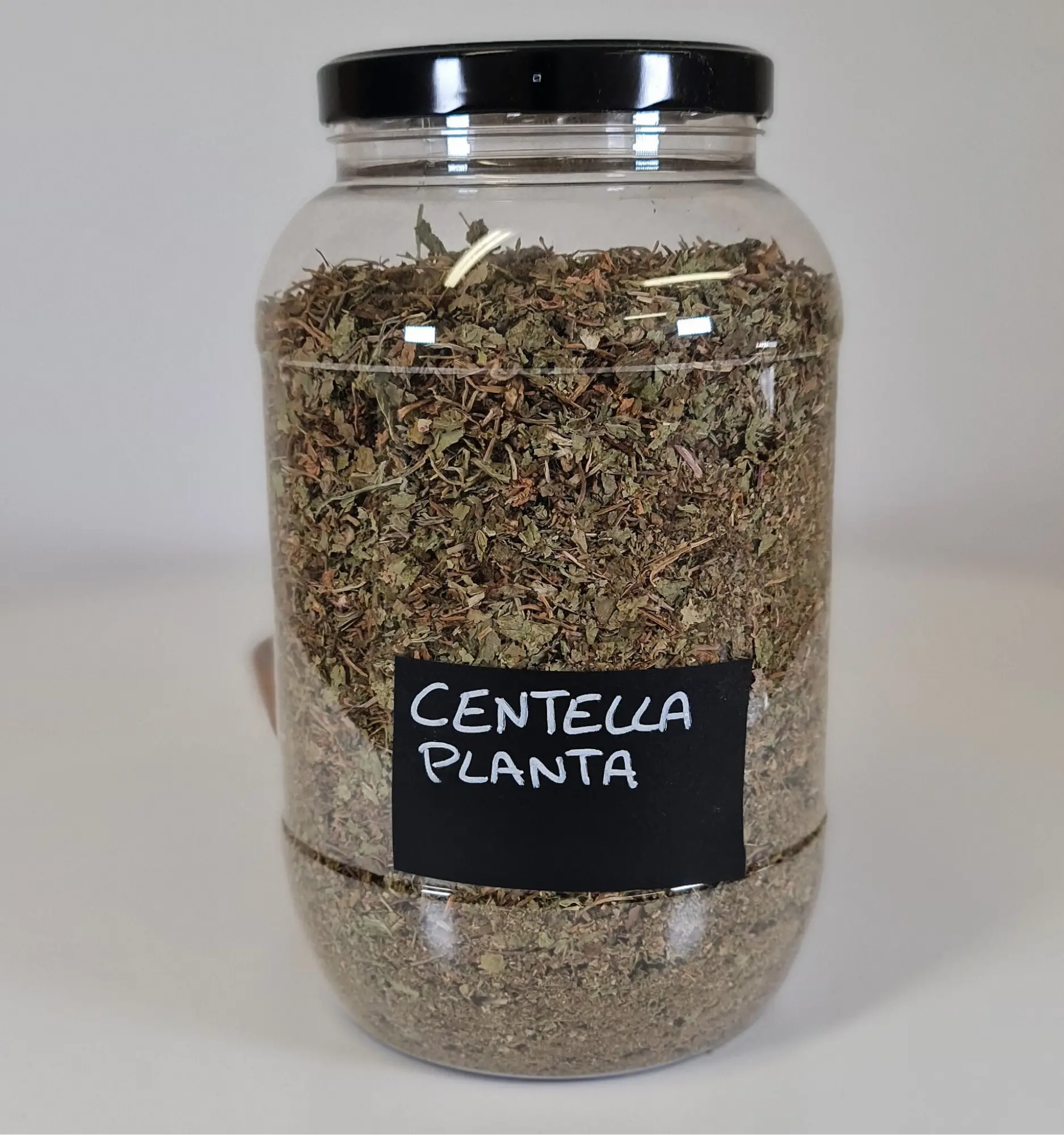 Centella planta bote