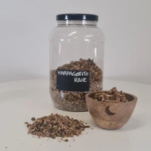 Harpagofito Raíz bote y cuenco