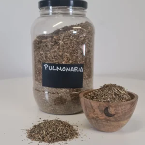 Pulmonaria bote y cuenco