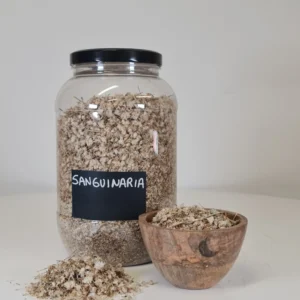 Sanguinaria bote y cuenco