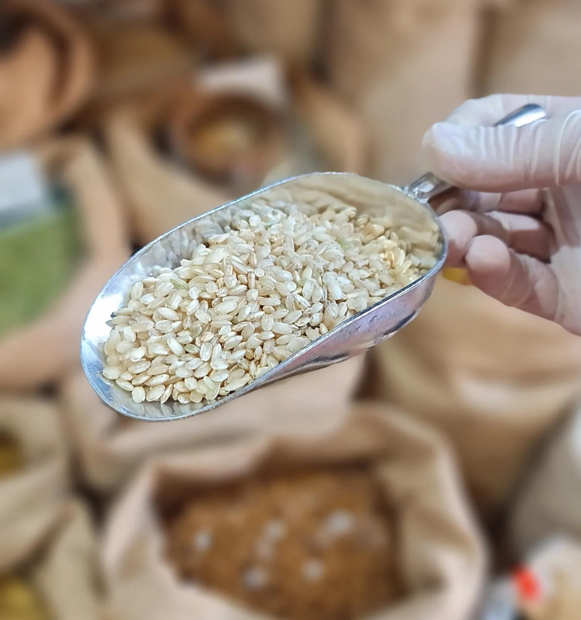 arroz integral redondo