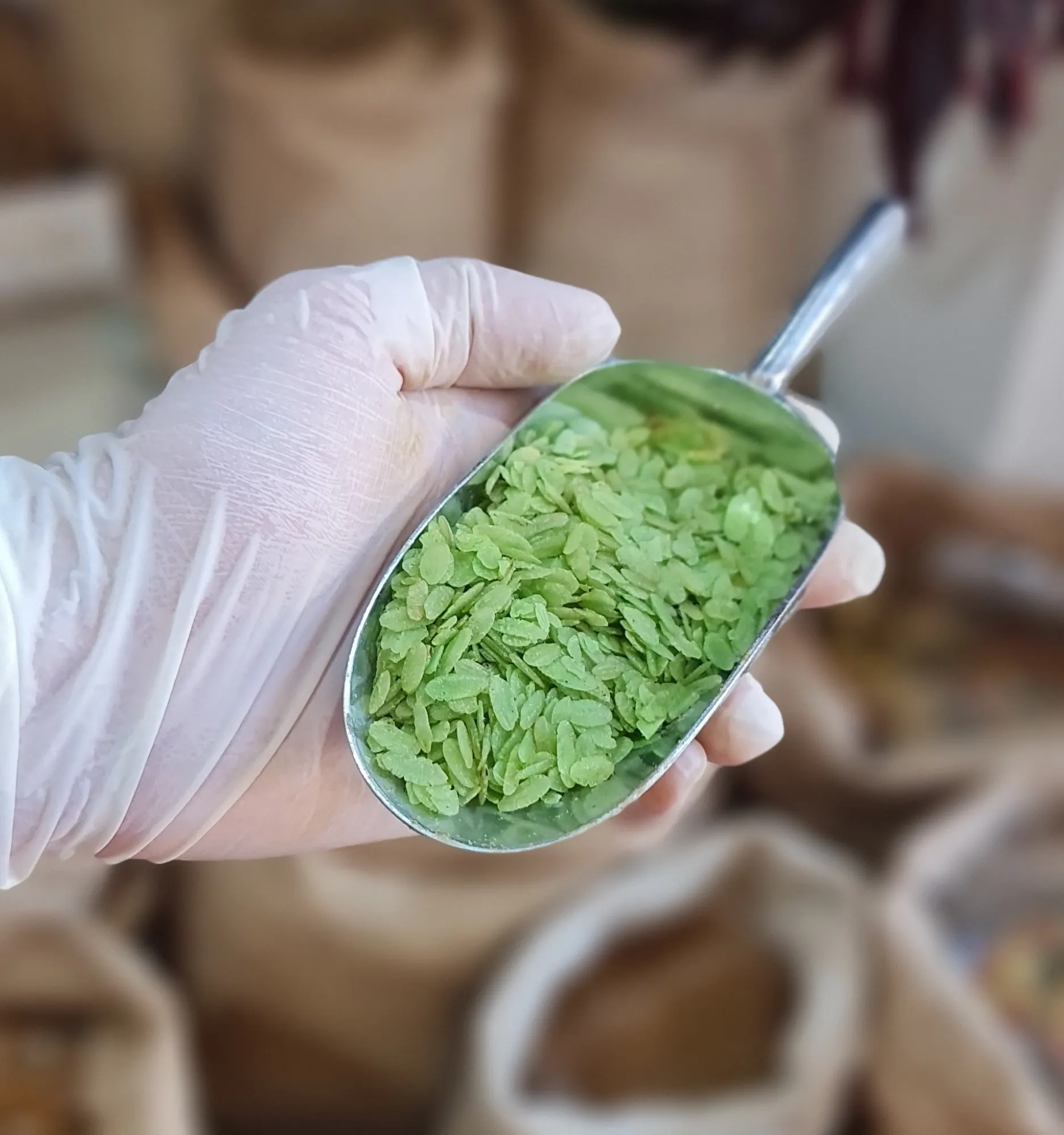 arroz verde vietnamita
