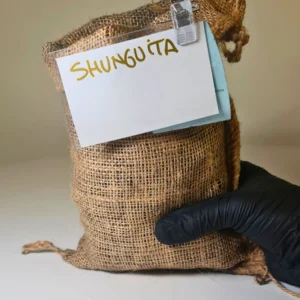 Shunguita CHIPS