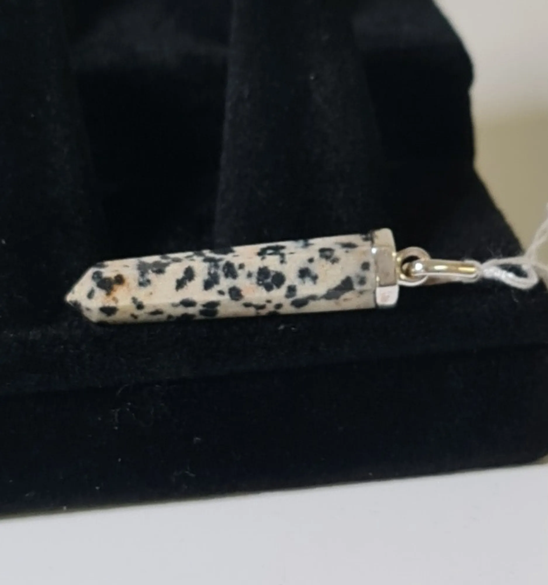 Colgante Jaspe Dálmata Plata