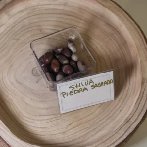 Shiva piedra sagrada
